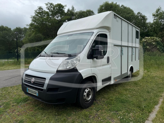 Horsebox HGV AP Petit Fiat Ducato 2015 Used