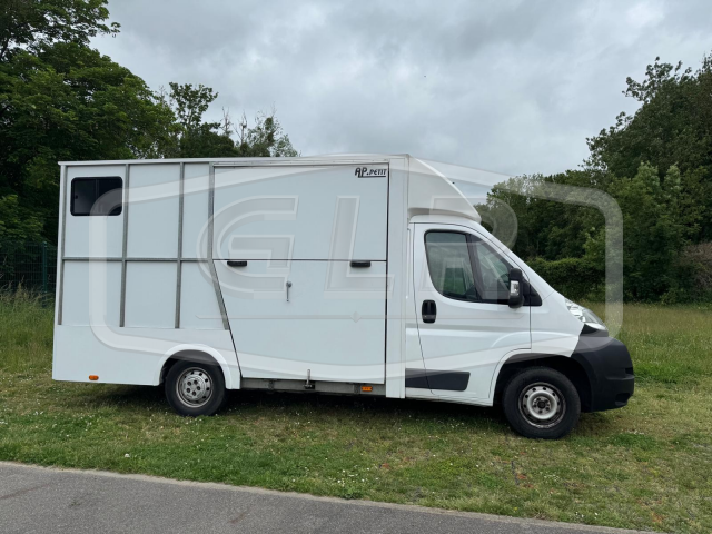 Horsebox HGV AP Petit Fiat Ducato 2014 Used