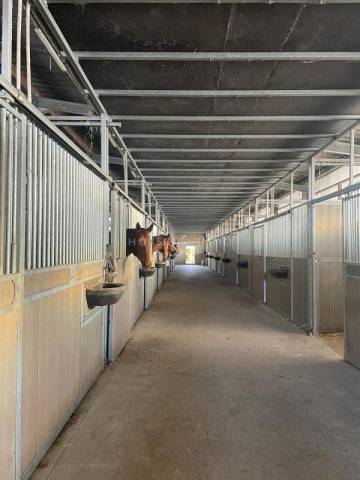 Equestrian property  Morbihan