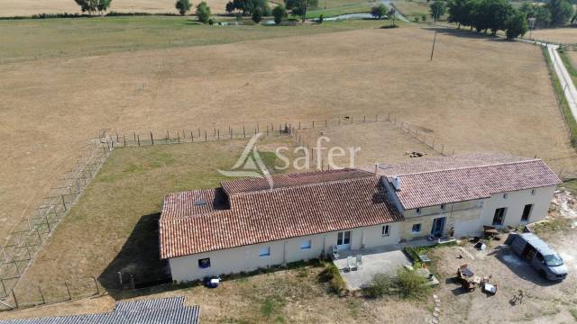 Sheep farm  Gironde