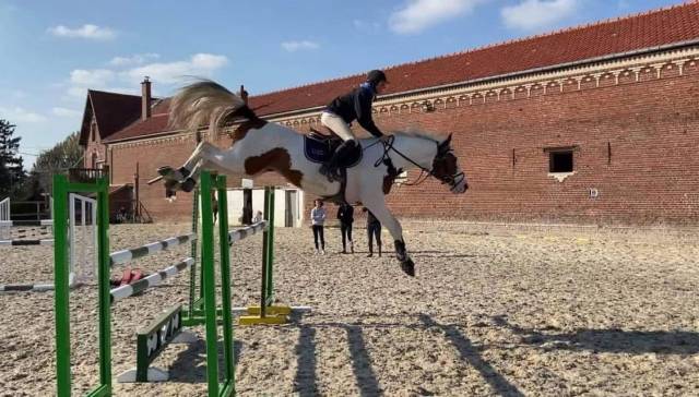 Guest Star du Valya - Selle Fran&ccedil;ais 2016