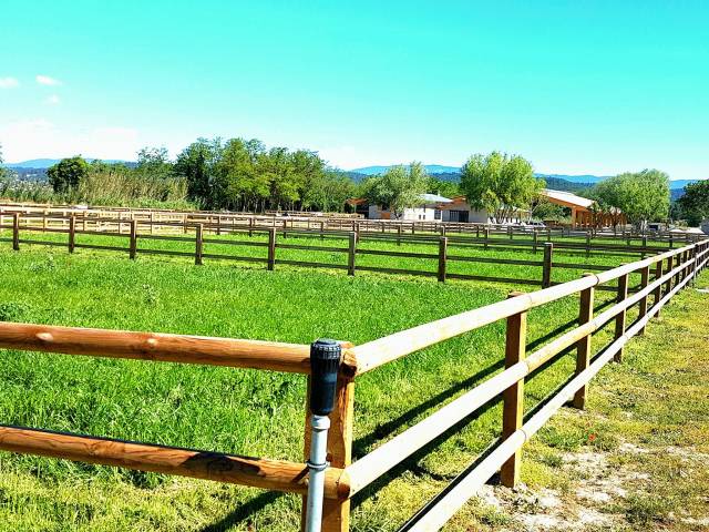 Stableman - Permanent contract Full time - Vaucluse France