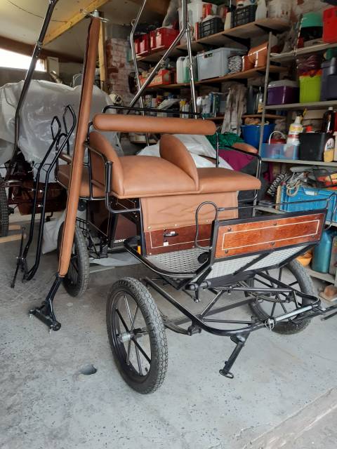 Carriage - Calèche   