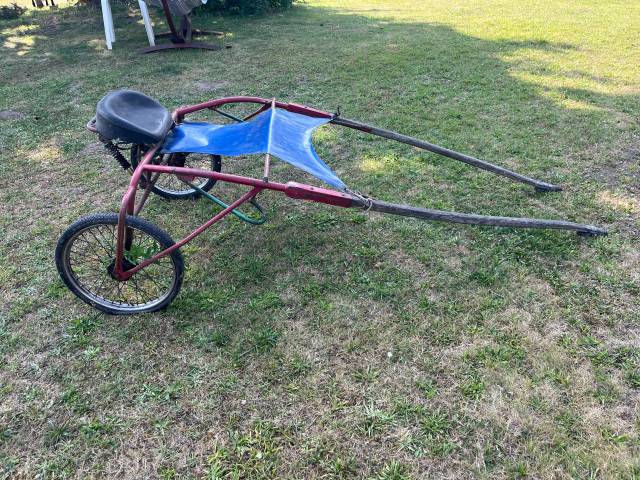 Carriage - Sulky - Other brand -  