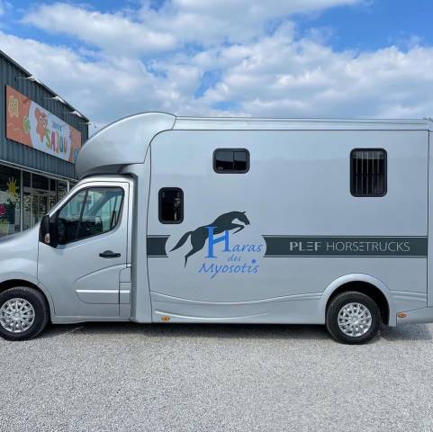 Horsebox HGV Renault Master 3 2021 Used