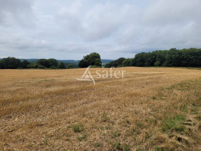 Other agricultural property  Cantal