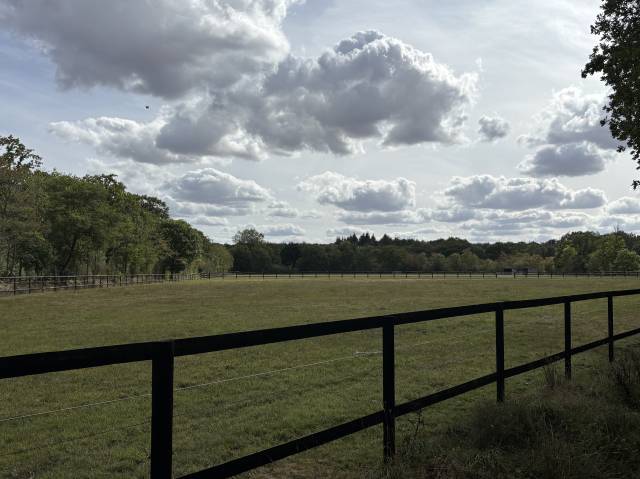 Stud farm  Calvados