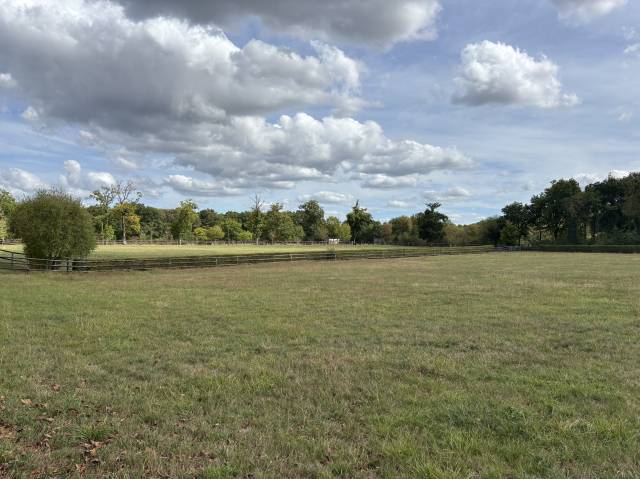 Stud farm  Calvados
