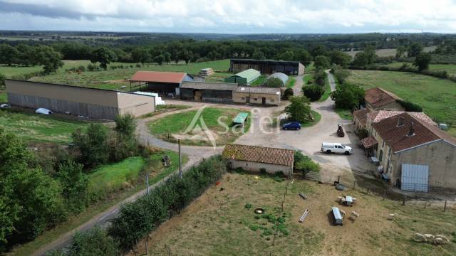 Sheep farm  Vienne