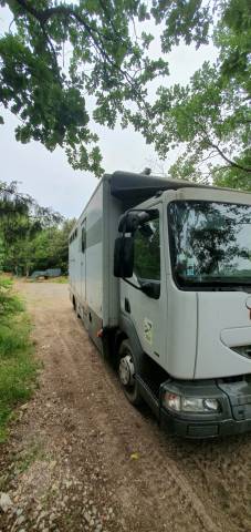 Horsebox NON-HGV Renault  2001 Used