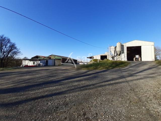 Poultry farm  Deux-S&egrave;vres