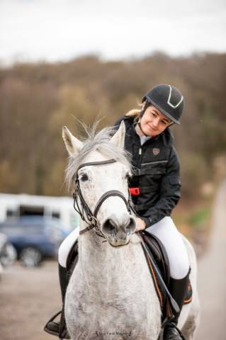 Gelding Connemara Part-Livery 2012 Grey