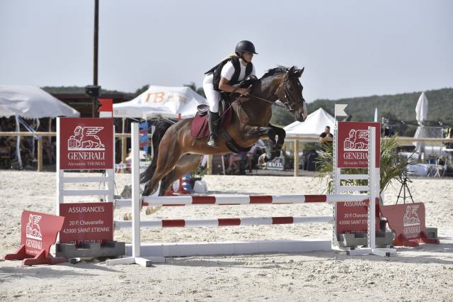 Mare French Saddle Pony For sale 2016 Dark Bay