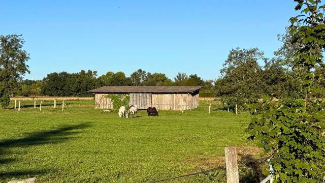 Riding school  tarn