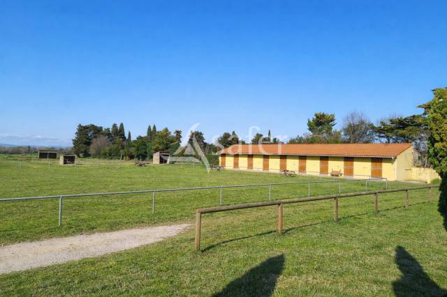 Equestrian property  Pyr&eacute;n&eacute;es-Orientales