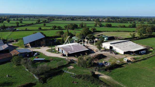 Woodland  Deux-Sèvres