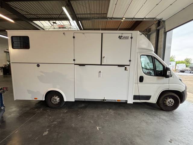 Horsebox HGV AP Petit Peugeot Boxer L4   2020 New
