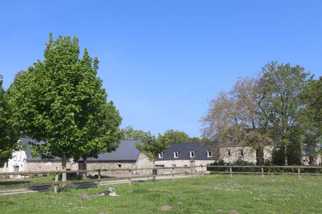 Luxurious equestrian property  Manche