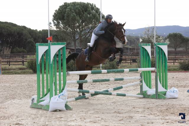 Head groom - Permanent contract Full time - Var France