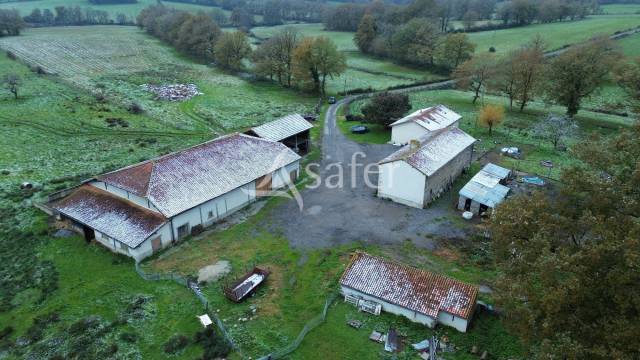 Sheep farm  Charente