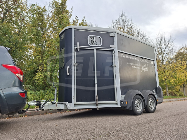Horse trailer Ifor Williams HB 511 OBLIQUE PP 2 Stalls 2017 Used