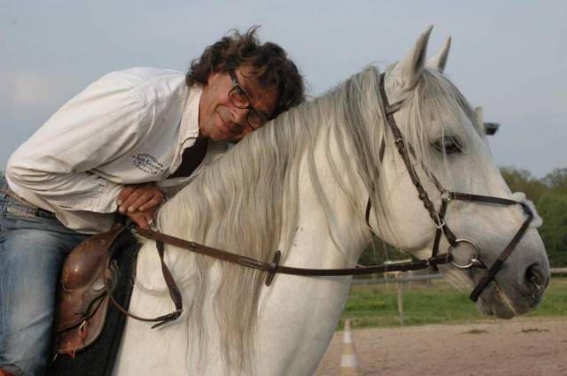 Gelding PRE Pure Spanish Bred For sale 2008 Grey