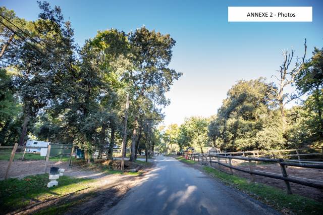 Riding school  Charente-Maritime