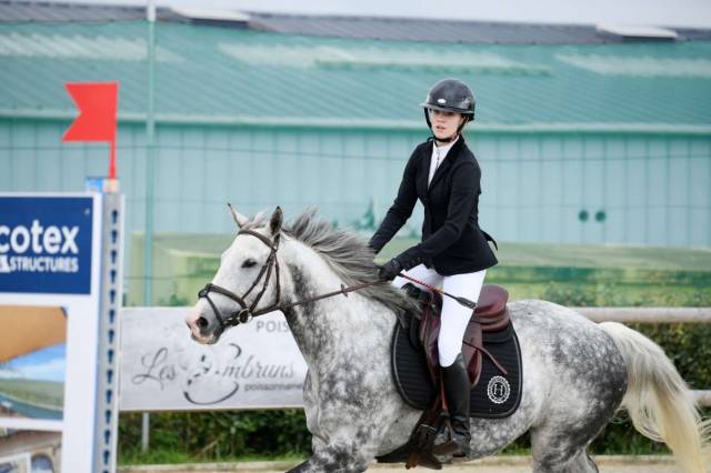 Mare Thoroughbred For sale 2012 Grey