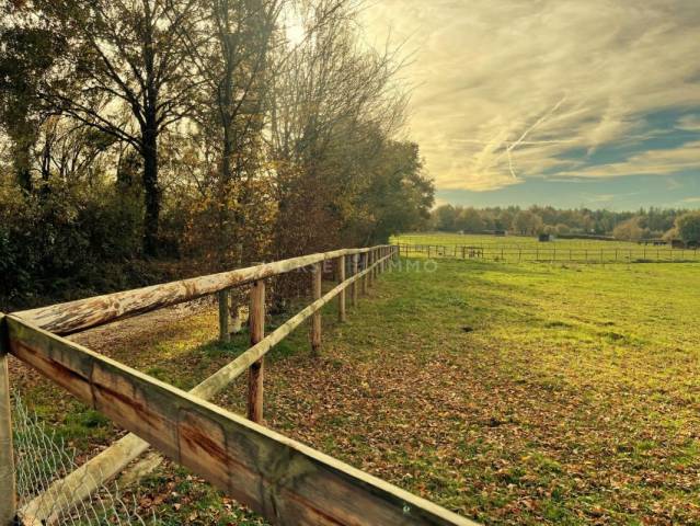 Stud farm  Maine-et-Loire