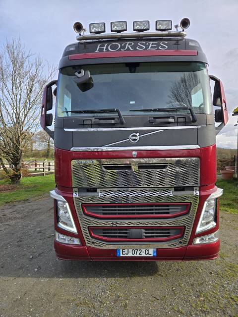 Horsebox NON-HGV Volvo FH 460CH EURO6 2017 Used