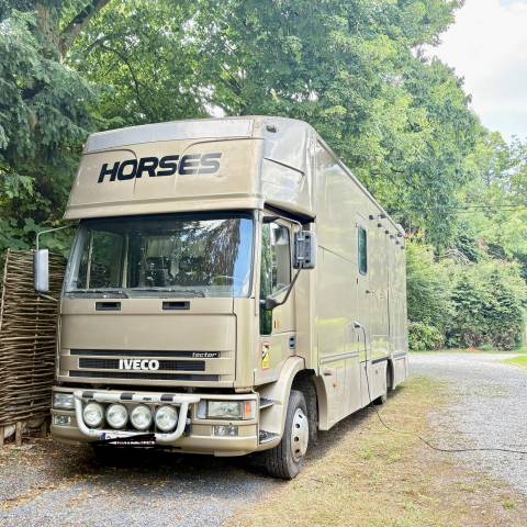 Horsebox NON-HGV Iveco  IVECO 280 hp 2001 Used