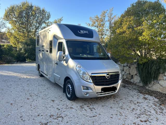 Horse trailer STX MOVANO 2 Stalls 2017 Used