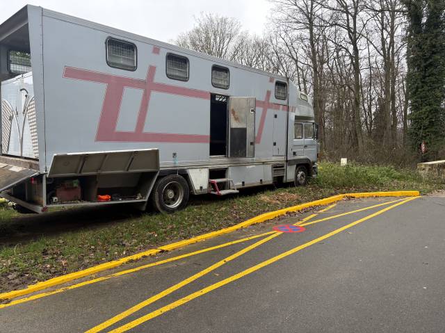 Horsebox NON-HGV Renault Mildium 1985 Used
