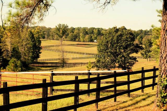 Riding school  Allier