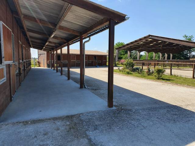 Equestrian property  Tarn-et-Taronne
