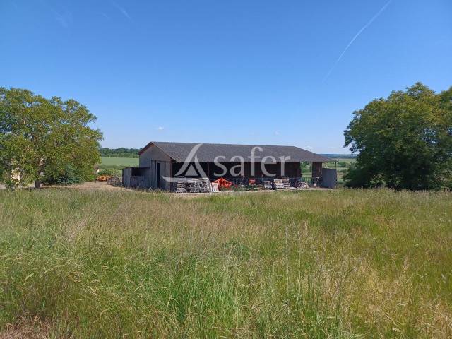 Other agricultural property  Vienne