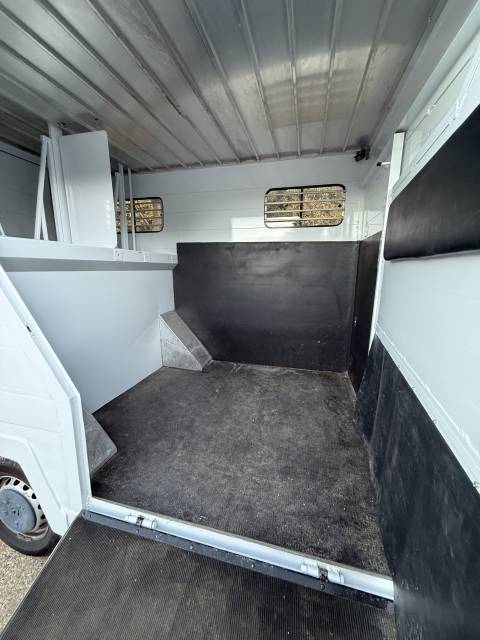 Horsebox HGV - Other brand - Master grand confort  2021 New