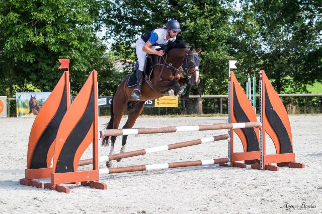 Mare Origin Recorded For sale 2021 Bay