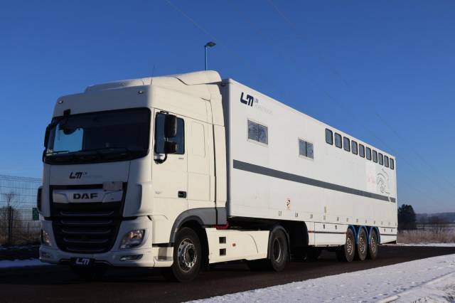 Horsebox NON-HGV Daf SEMI-REMORQUE 10P-APPARTEMENT 4P 2017 Used