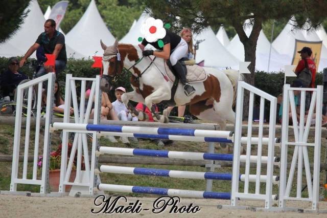 Mare Other Pony Breed For loan 2008 Coloured