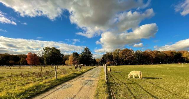 Equestrian property  Yvelines