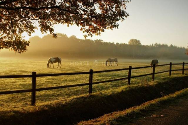 Equestrian property  Dr&ocirc;me