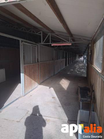 Equestrian property  Tarragona
