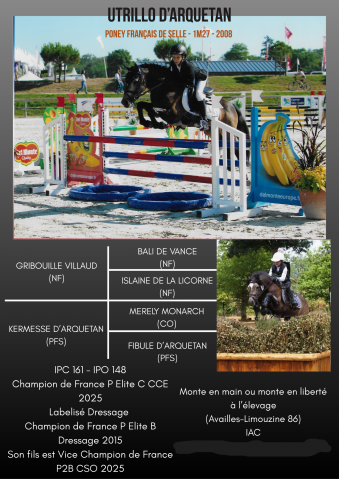 Utrillo d'Arquetan - French Saddle Pony 2008 by Gribouille Villaud