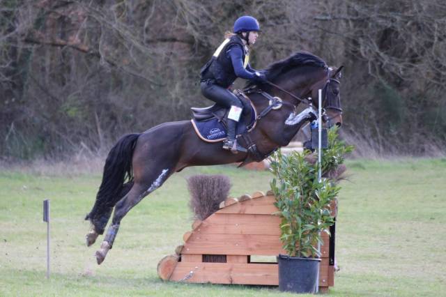 Secret d'Arquetan - French Saddle Pony 2006 by GEDEON DES MAUVIS