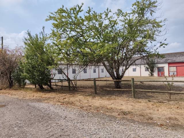 Equestrian property  Allier