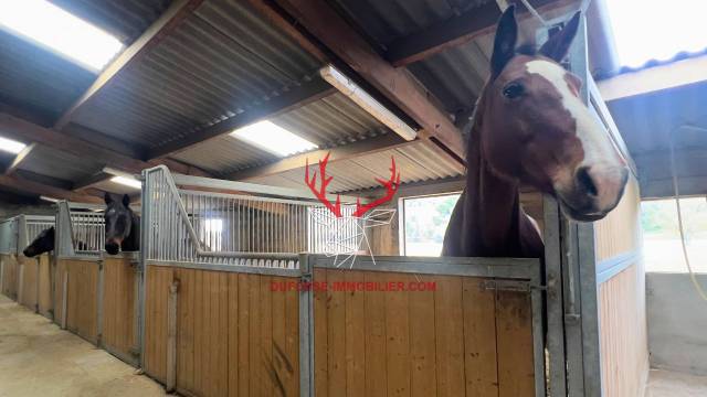 Equestrian property  Tarn-et-Taronne
