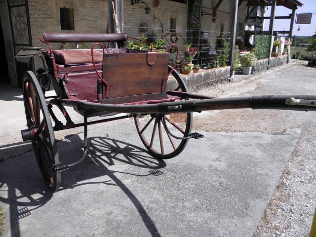Carriage - Cal&egrave;che  STICK BAG GIG 
