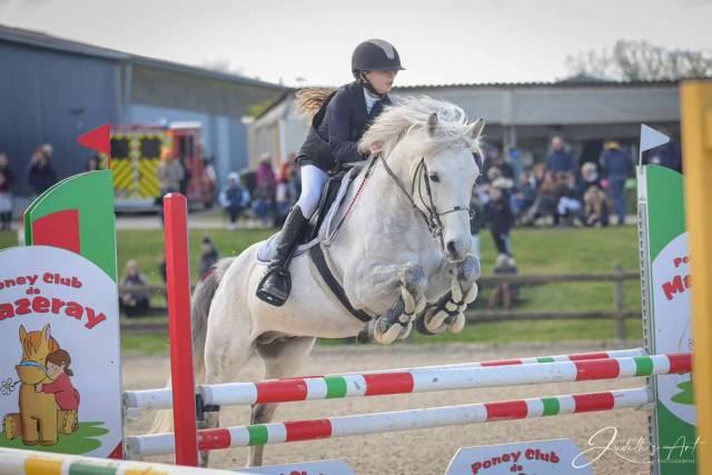 Voyage d'Arquetan - French Saddle Pony 2009 by Gribouille Villaud