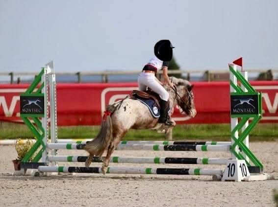 Mare Origin Recorded For loan 2016 Other color